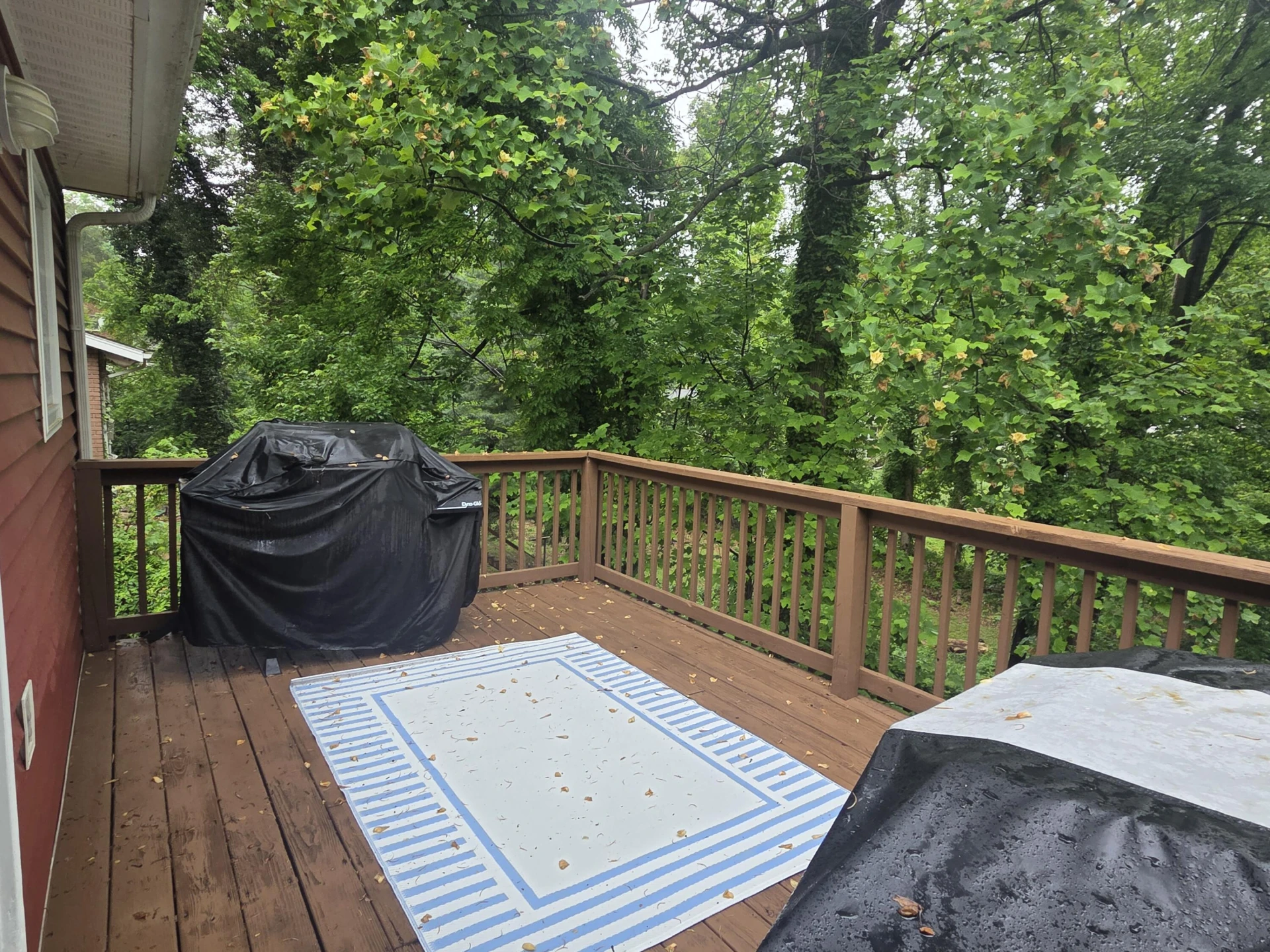 5075 Youngwood DR - Photo 13