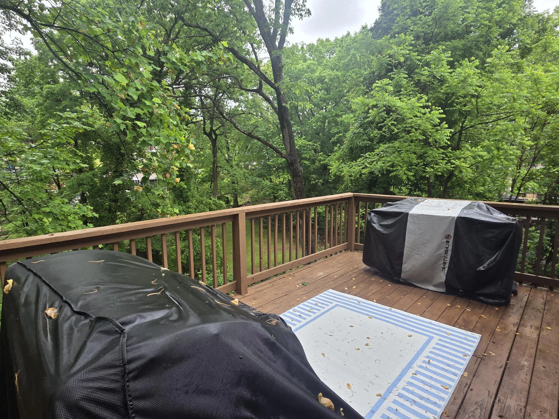 5075 Youngwood DR - Photo 14