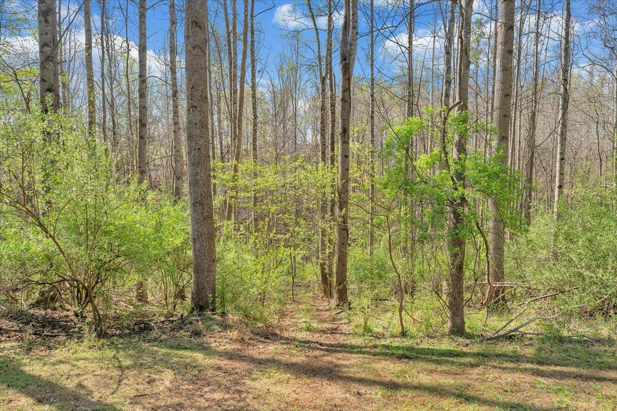 105 CHEROKEE LN - Photo 33