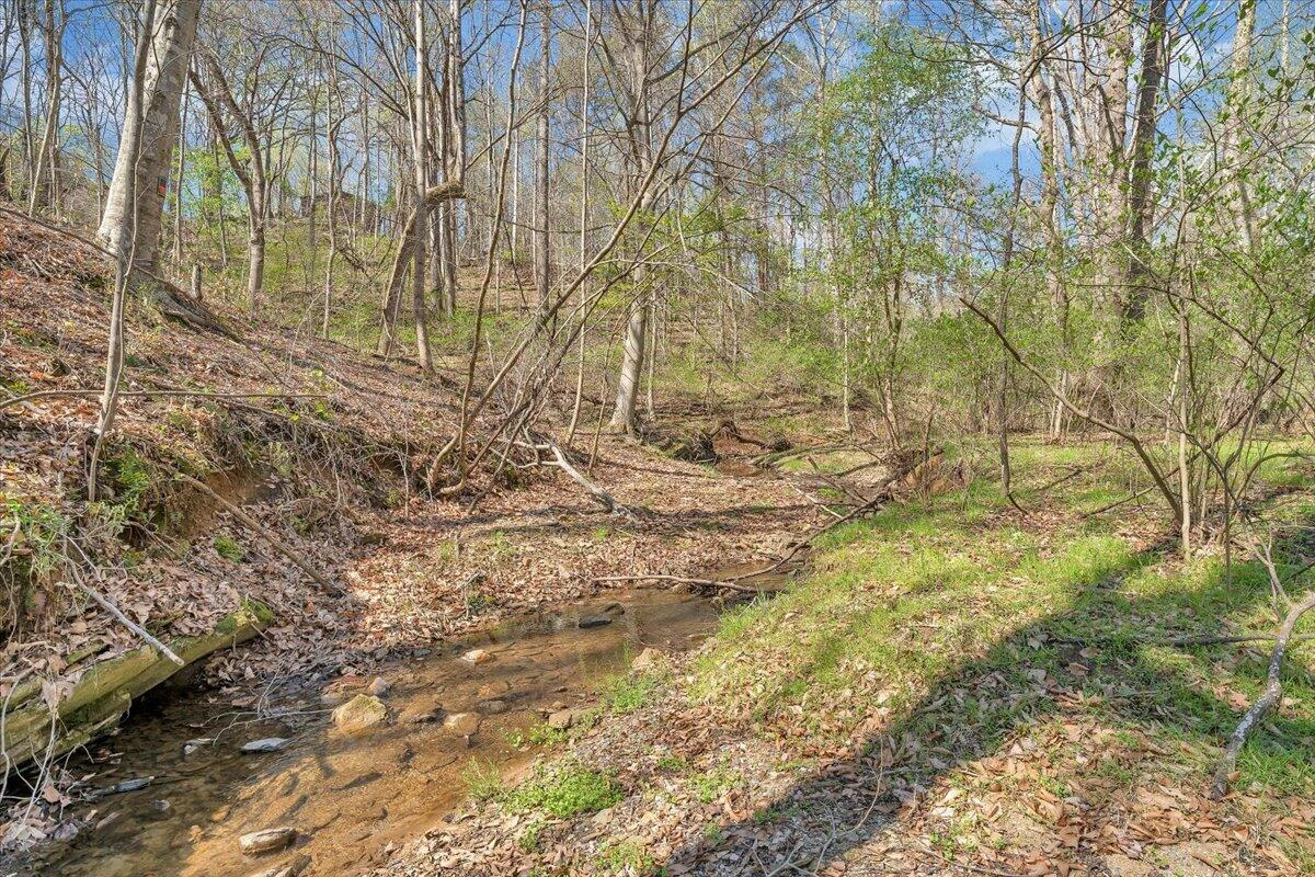 105 CHEROKEE LN - Photo 39