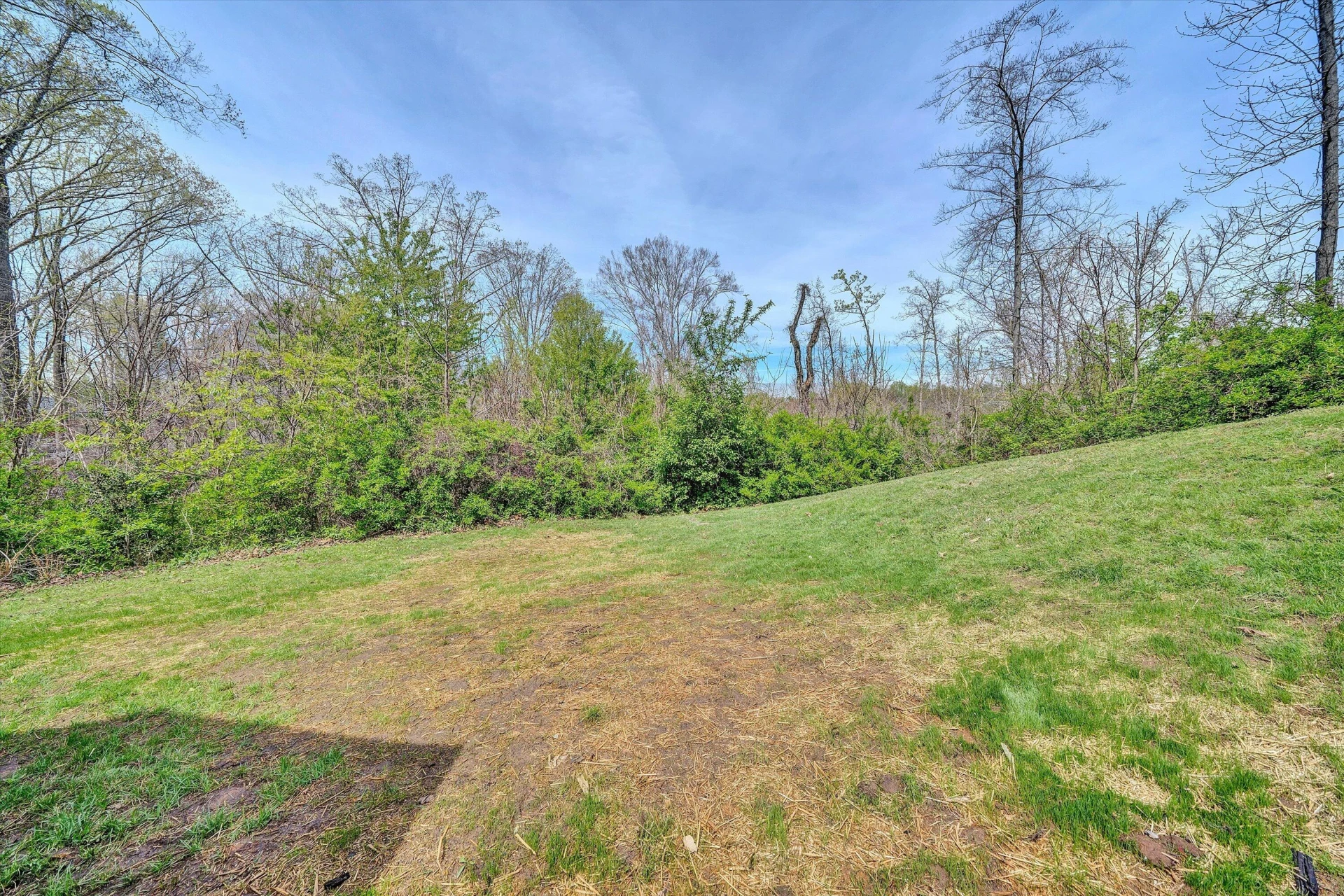 731 BASSETT HEIGHTS RD - Photo 37