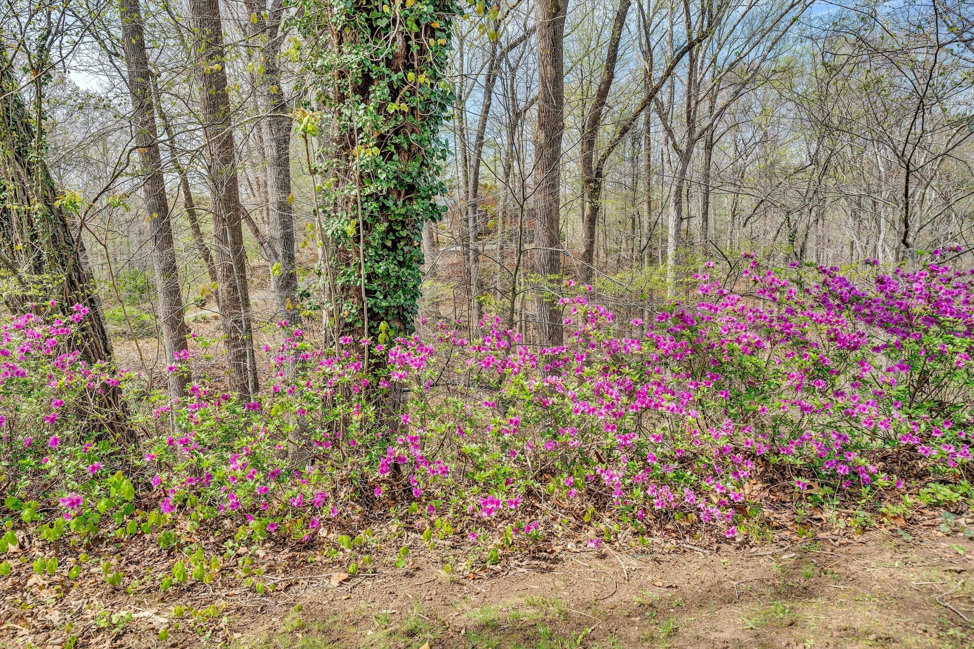 731 BASSETT HEIGHTS RD - Photo 44
