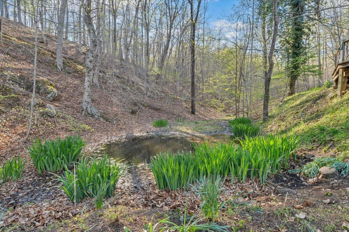1065 Cain DR - Photo 74