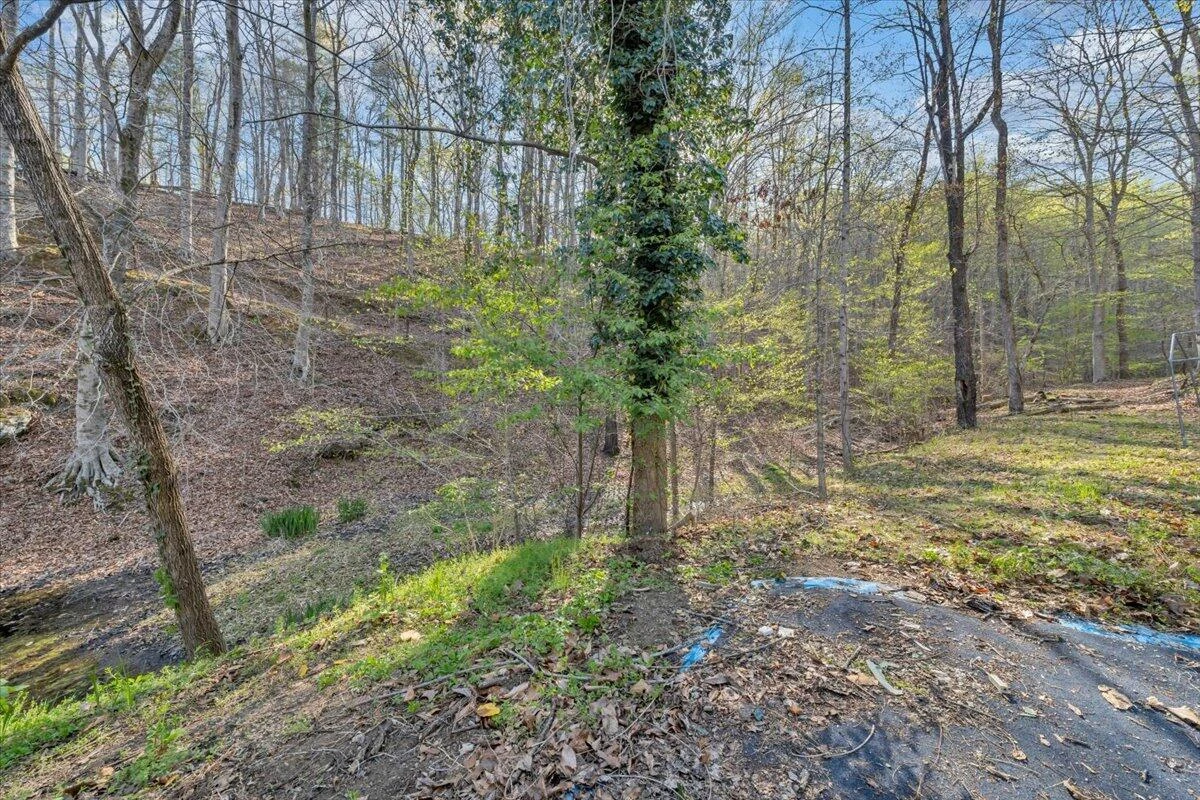 1065 Cain DR - Photo 77