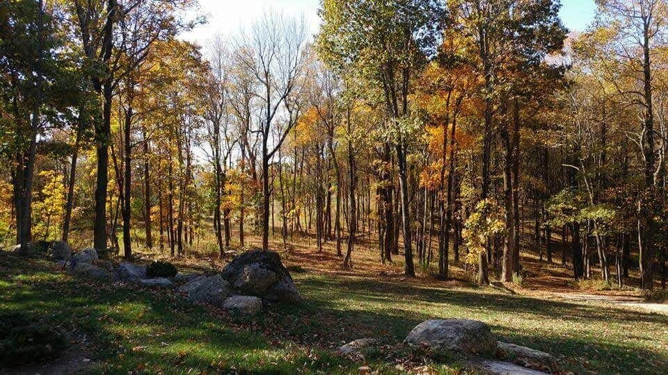 10229 Sugar Camp Creek RD - Photo 60