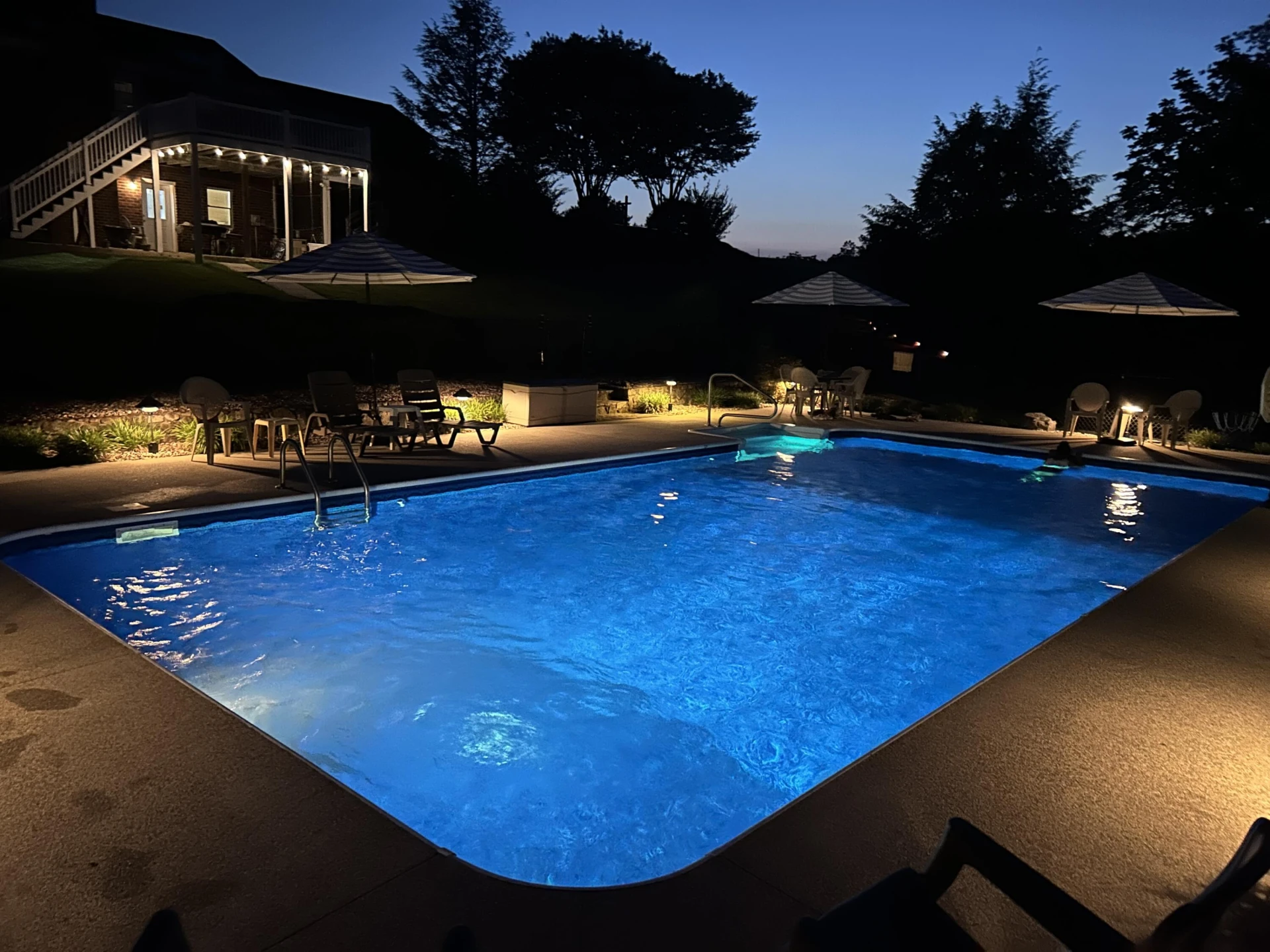 209 Big Maple DR - Photo 48