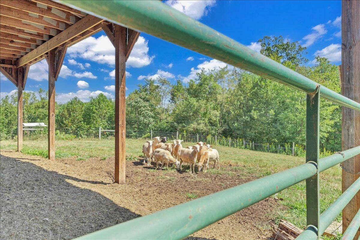 280 WOODWINDS RD - Photo 50