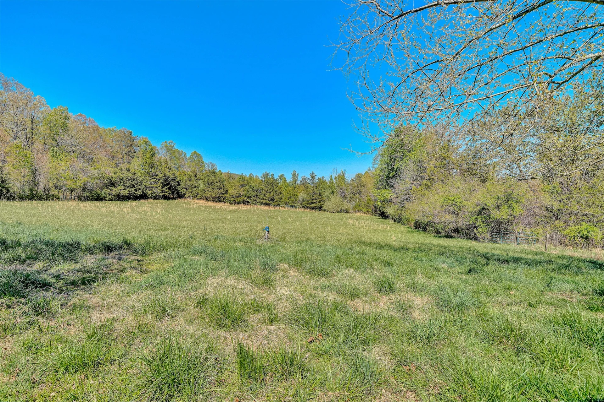 1220 HOLLEY RIDGE RD - Photo 46