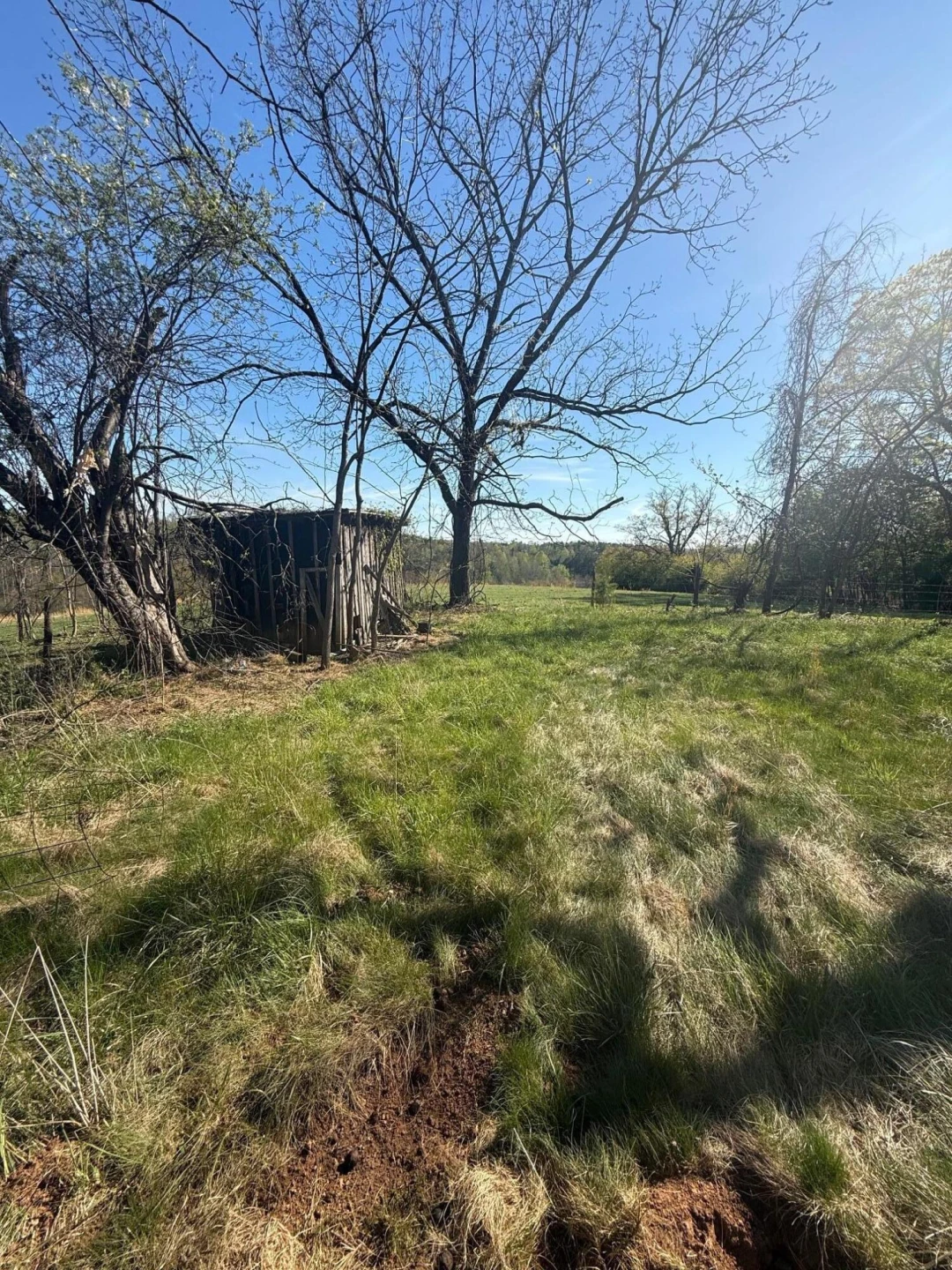 60 Ashgrove LN - Photo 7