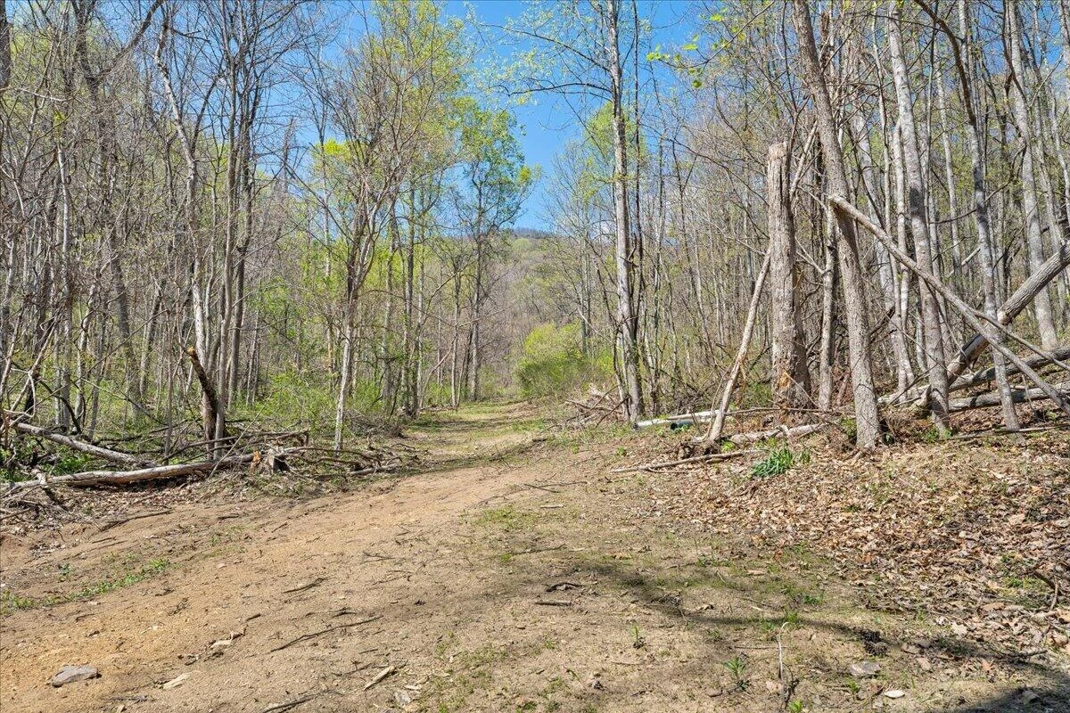 0 Short Hill DR - Photo 20