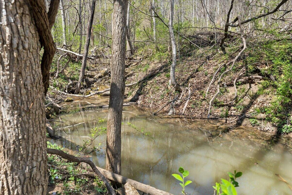 0 Short Hill DR - Photo 21