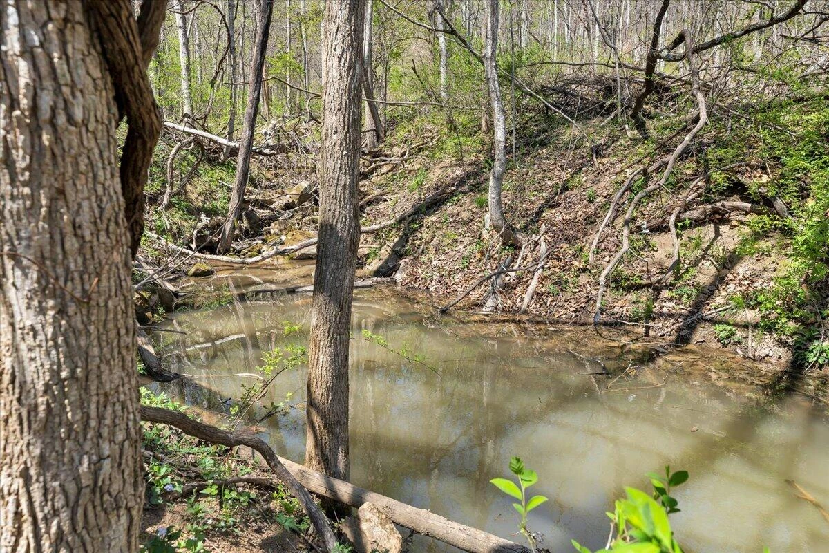 0 Short Hill DR - Photo 22