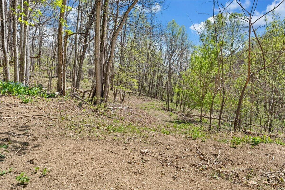 0 Short Hill DR - Photo 4