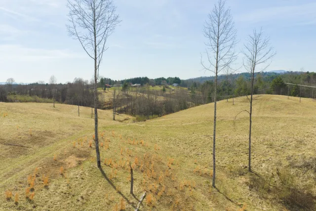 TBD Carsonville RD, Independence, VA, 24348