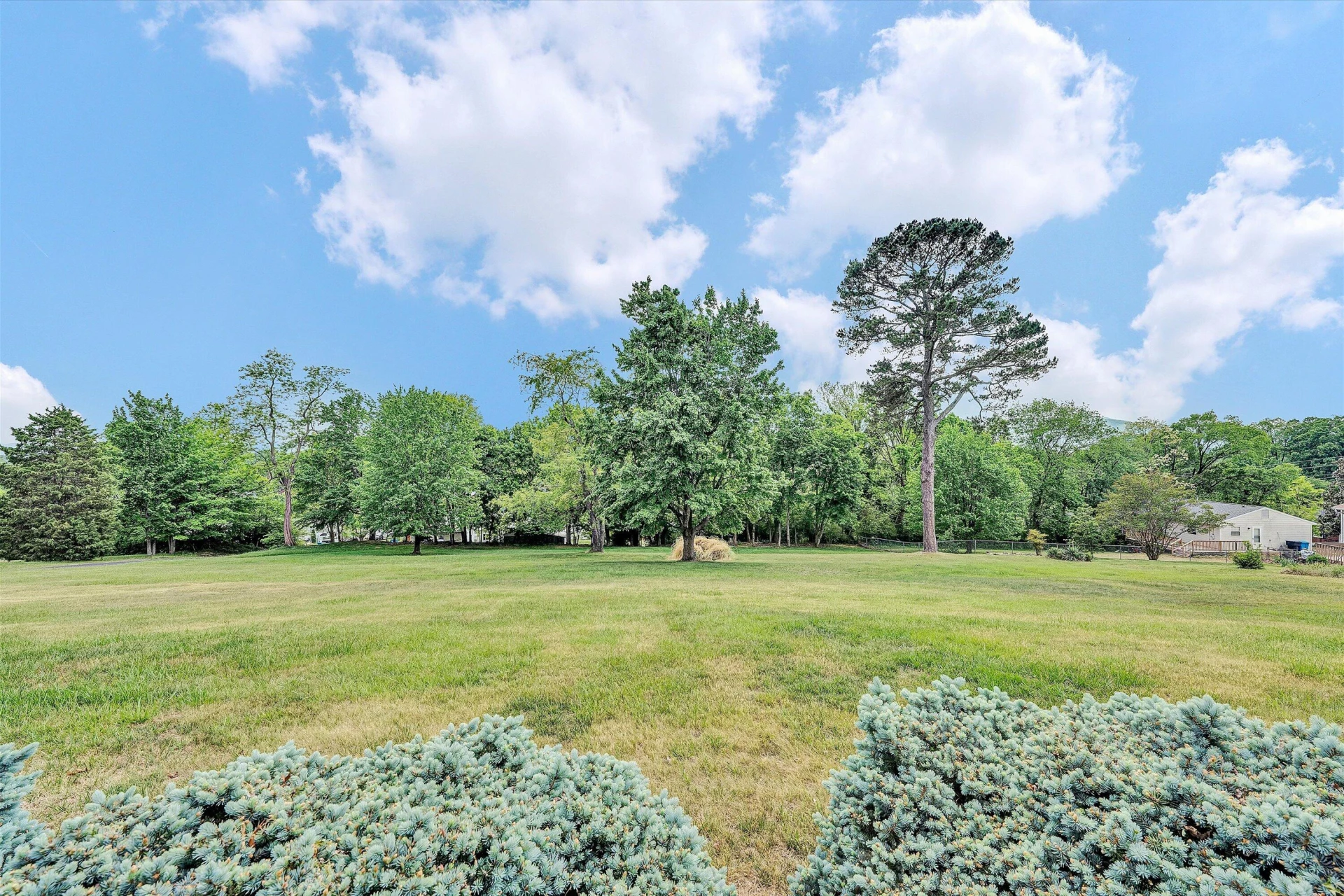 1530 Graybill RD - Photo 23