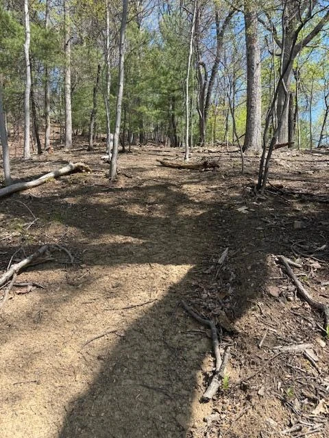 0 Sugar Loaf Mountain RD - Photo 10