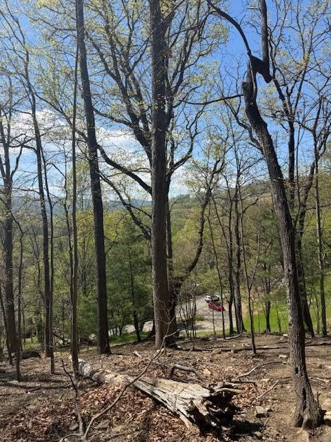 0 Sugar Loaf Mountain RD - Photo 11