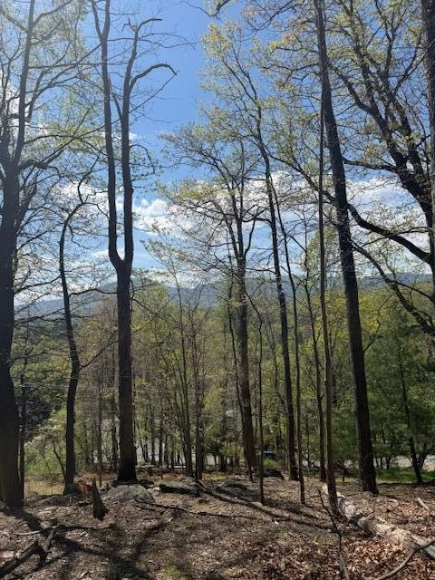 0 Sugar Loaf Mountain RD - Photo 12