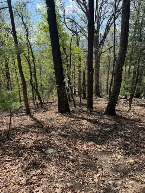 0 Sugar Loaf Mountain RD - Photo 14