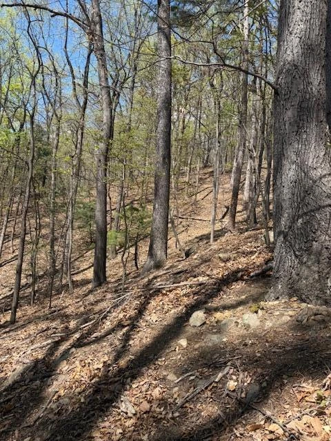 0 Sugar Loaf Mountain RD - Photo 15
