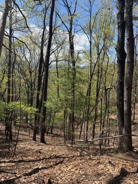 0 Sugar Loaf Mountain RD - Photo 16