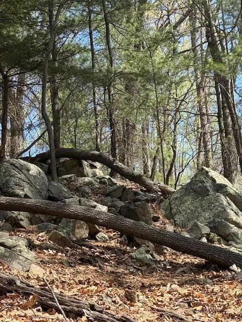 0 Sugar Loaf Mountain RD - Photo 17
