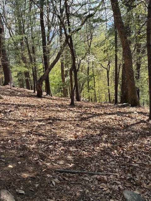 0 Sugar Loaf Mountain RD - Photo 18