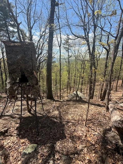 0 Sugar Loaf Mountain RD - Photo 19