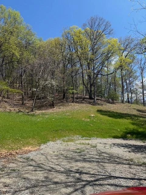 0 Sugar Loaf Mountain RD - Photo 2