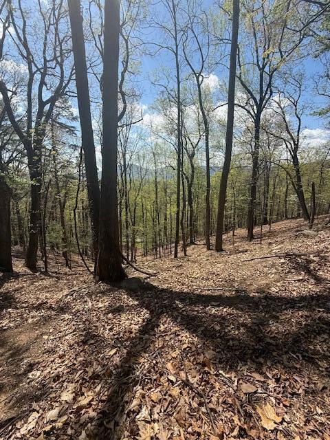0 Sugar Loaf Mountain RD - Photo 20