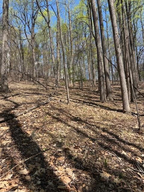 0 Sugar Loaf Mountain RD - Photo 21