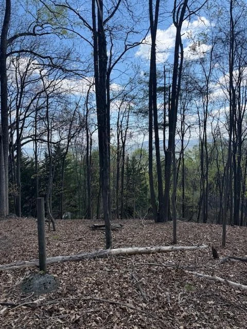0 Sugar Loaf Mountain RD - Photo 22
