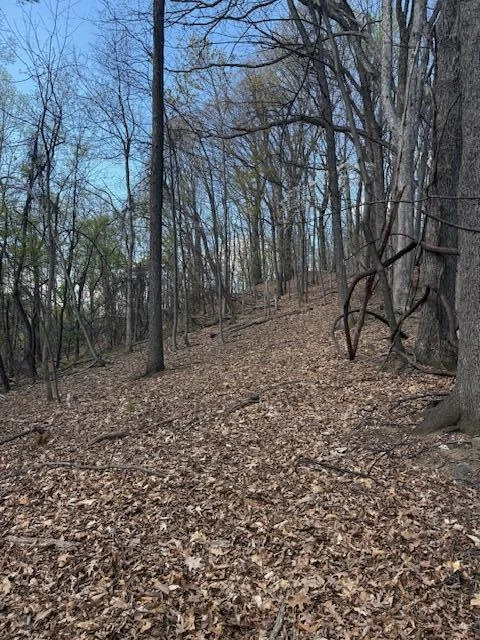 0 Sugar Loaf Mountain RD - Photo 23