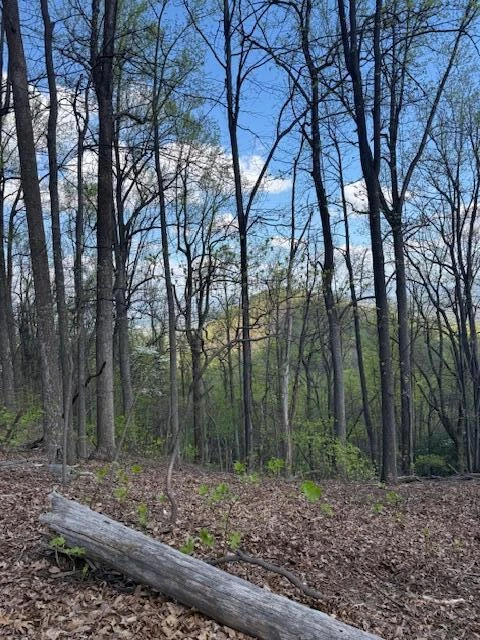 0 Sugar Loaf Mountain RD - Photo 24