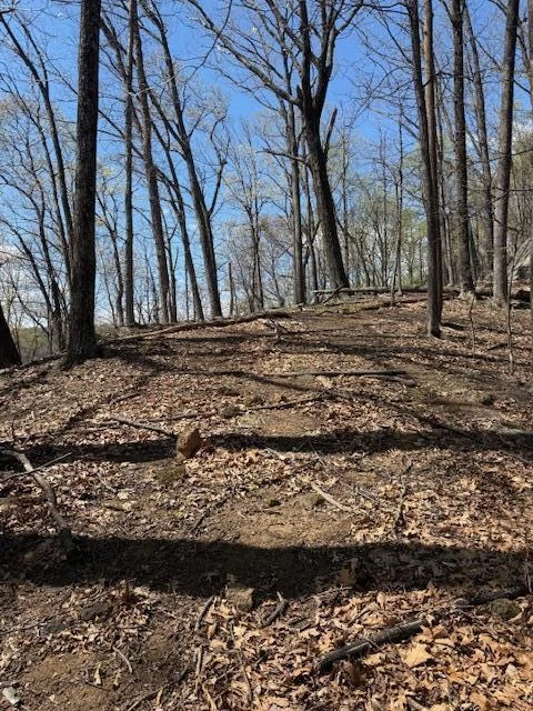 0 Sugar Loaf Mountain RD - Photo 25