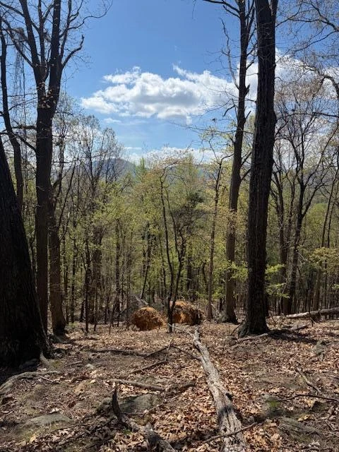 0 Sugar Loaf Mountain RD - Photo 26