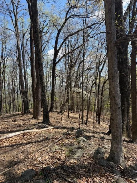 0 Sugar Loaf Mountain RD - Photo 27