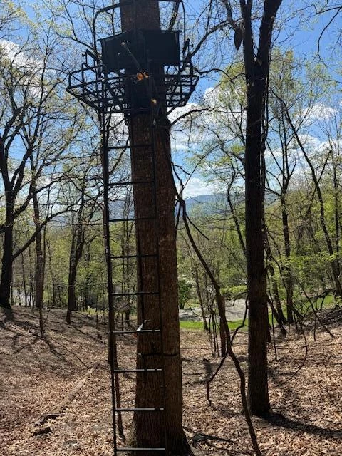 0 Sugar Loaf Mountain RD - Photo 28