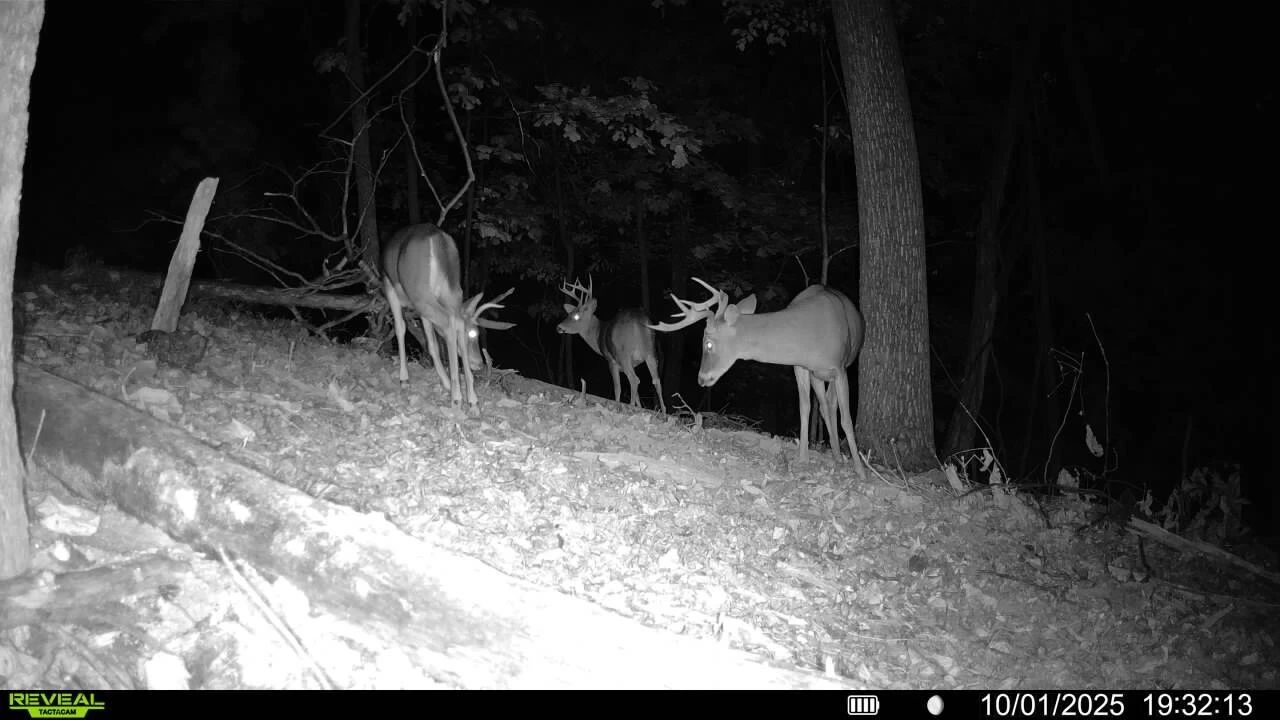 0 Sugar Loaf Mountain RD - Photo 30
