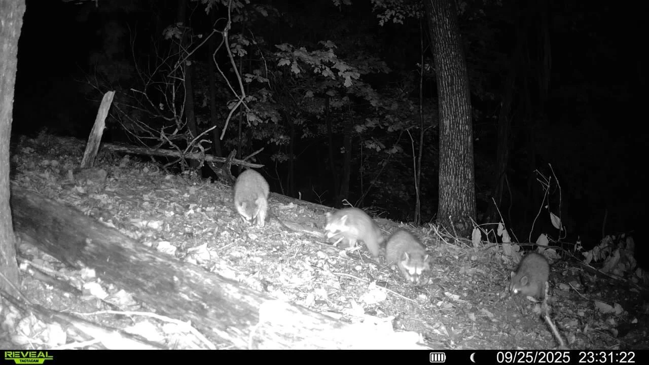 0 Sugar Loaf Mountain RD - Photo 31