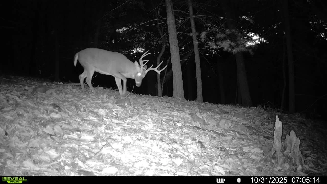 0 Sugar Loaf Mountain RD - Photo 32