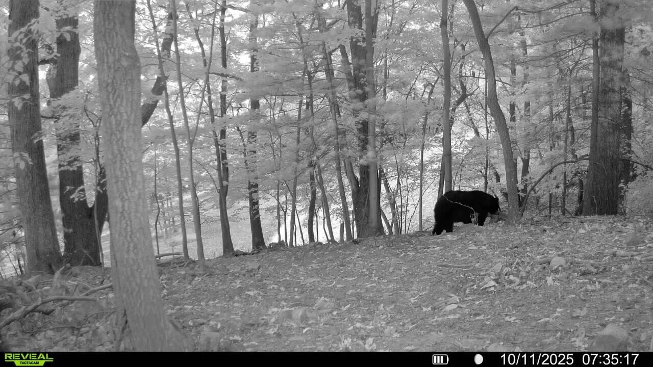0 Sugar Loaf Mountain RD - Photo 33
