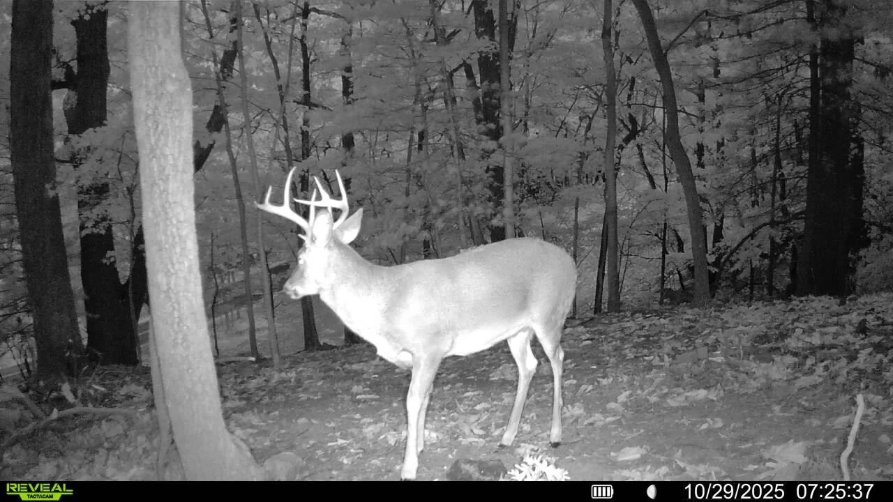 0 Sugar Loaf Mountain RD - Photo 34