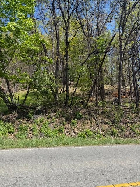 0 Sugar Loaf Mountain RD - Photo 4