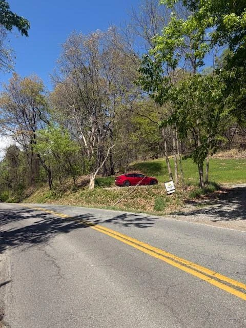 0 Sugar Loaf Mountain RD - Photo 5