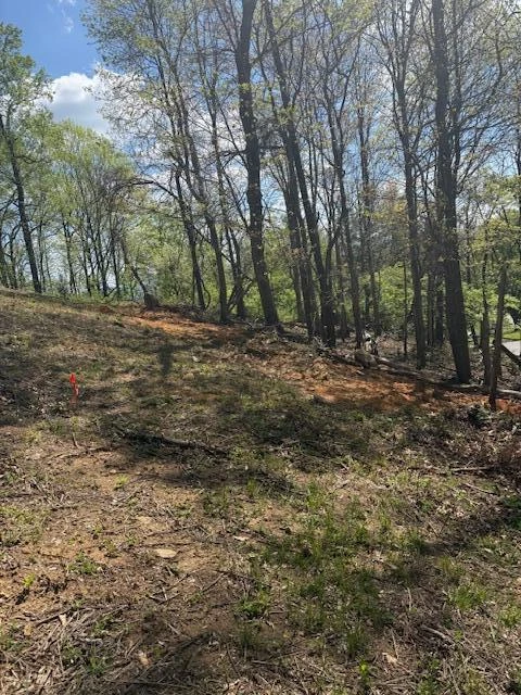 0 Sugar Loaf Mountain RD - Photo 6