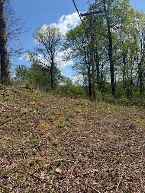 0 Sugar Loaf Mountain RD - Photo 7