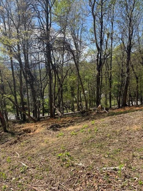 0 Sugar Loaf Mountain RD - Photo 8