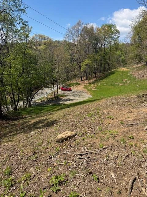 0 Sugar Loaf Mountain RD - Photo 9