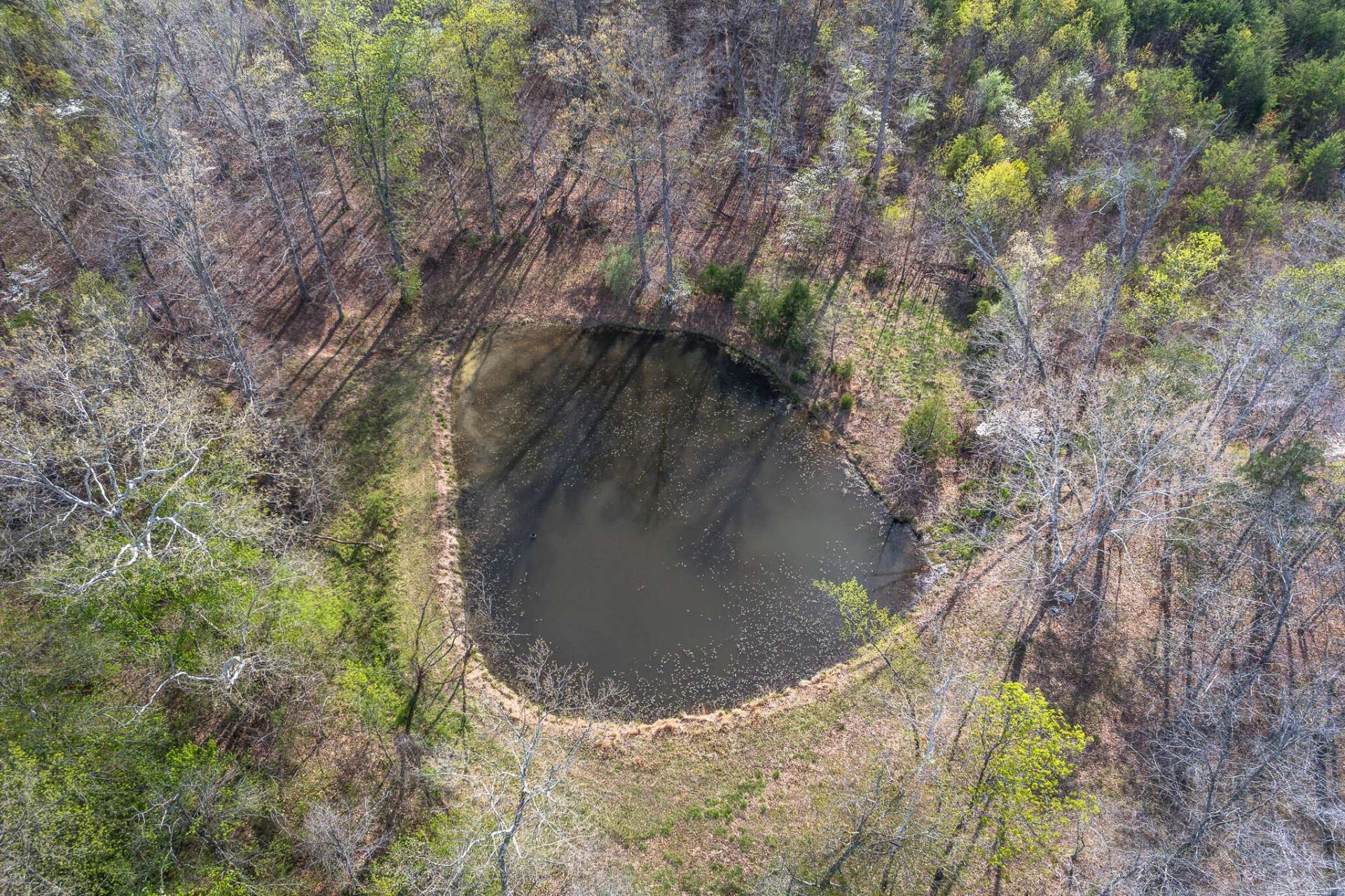 3570 Rock Cliff RD - Photo 44